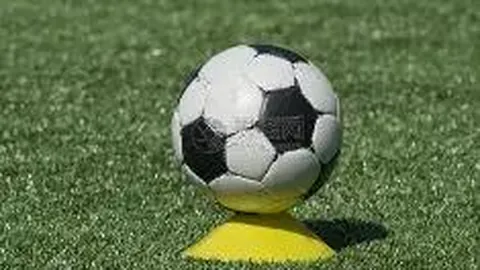 EVO真人视讯 资讯 115633 icj