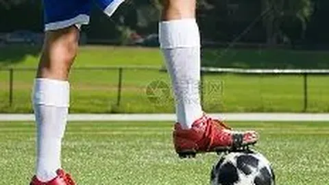 EVO真人视讯 产品 120435 hr5